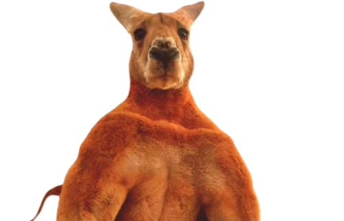 RTEmagicC_RTEmagicC_604f493017.jpg-removebg-preview.png