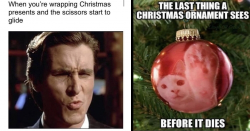 christmas-memes-holiday-memes-wholesome-memes-animal-memes-christmas-memes-festive-santa-memes-lol.jpg
