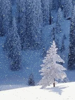 image.png.535074110d8e25aa630115f36b8485be.png