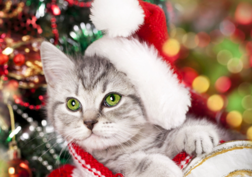 image.thumb.png.1cbd3b431c5184430a0ad2e1167be624.png