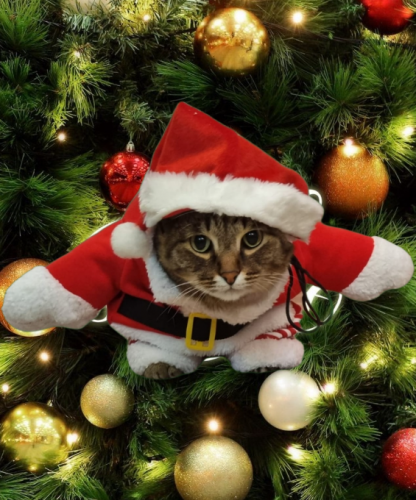 image.thumb.png.2cbed422a3eaa3b4792e48b5a9d8d85e.png