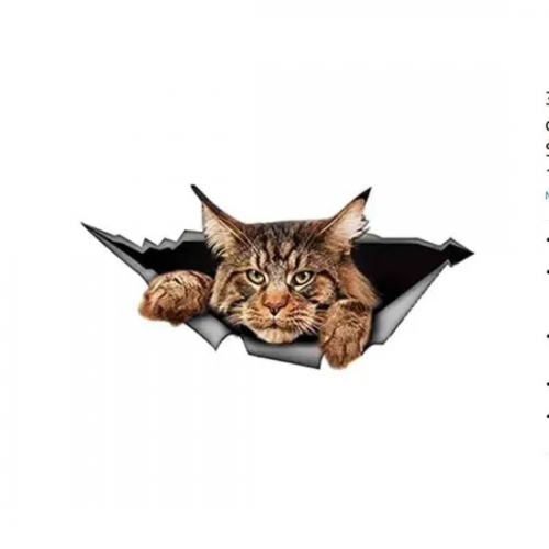 image.thumb.png.d3a22595bc226b089e809a2022598495.png