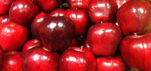 red.apples.thumb.jpg.da23bb01e989651c0fcd1b05633223d2.jpg