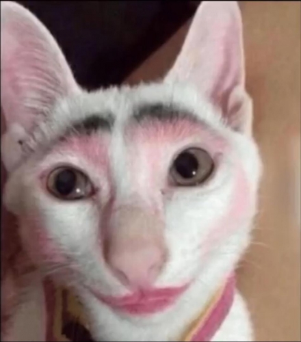 yfiujfxjxa841.jpg