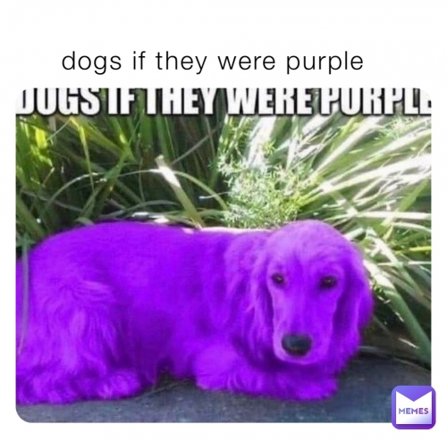 1667607232248.jpg