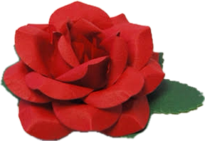 941835189_PNG.png.d8eacccd7f88b55300fd045c27939468.png