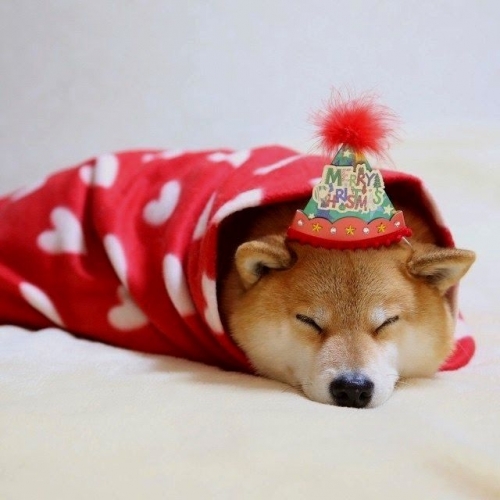 C304B3DD-152E-4030-A874-14F99D717984.jpeg