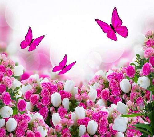 HD-wallpaper-flowers-new-nice.jpg