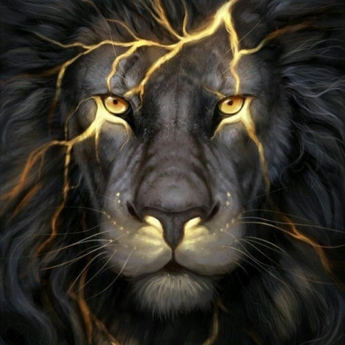 IMG_20220126_155807_198.jpg