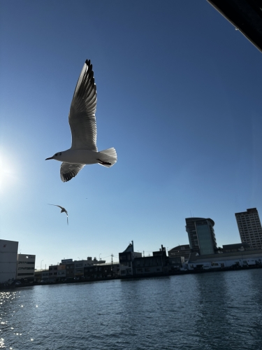 IMG_8679.jpeg