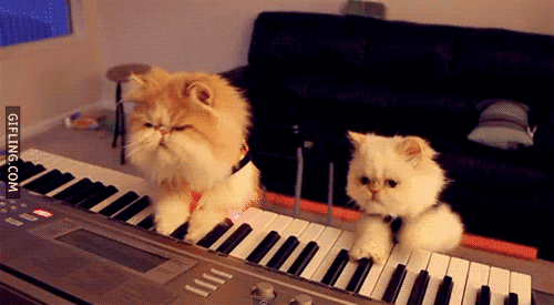 giphy.gif.ffef4d29c777e6018d84e77dd0c829b0.gif