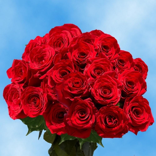 globalrose-flower-bouquets-100-red-roses-md-64_1000.jpg
