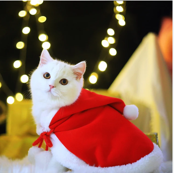 image.png.610f4a9df6c39f6a2253f27b4809a563.png