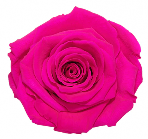 image.thumb.png.0b9b1908d8cc7032f91f961546acd2f9.png