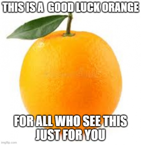 image.thumb.png.312c4edf1cb00acedbb35dbae410a5c9.png