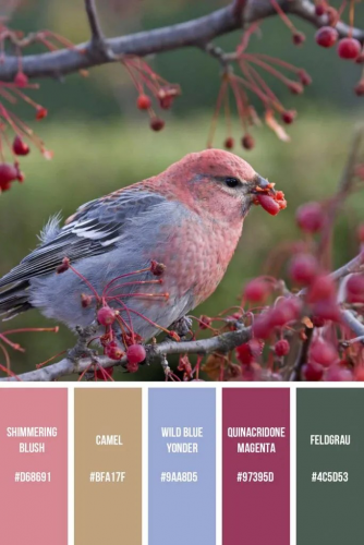 image.thumb.png.539e29da5d0673e490ad136f655585d2.png