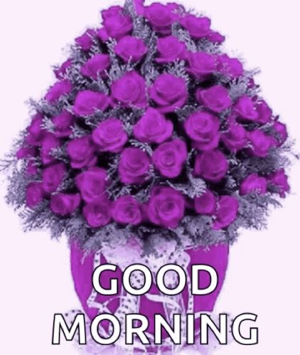 image.thumb.png.82d4b1971f237471a4c3de608954dc23.png