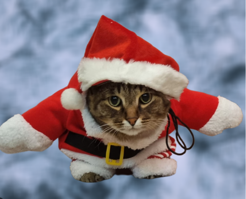 image.thumb.png.854c1c341da5226068dcb3f09d7b28de.png