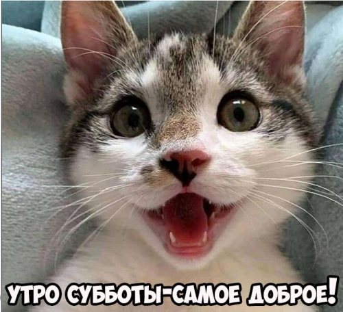 image.thumb.png.9f1dc7b8d735324ae05fd3dcc80779a9.png