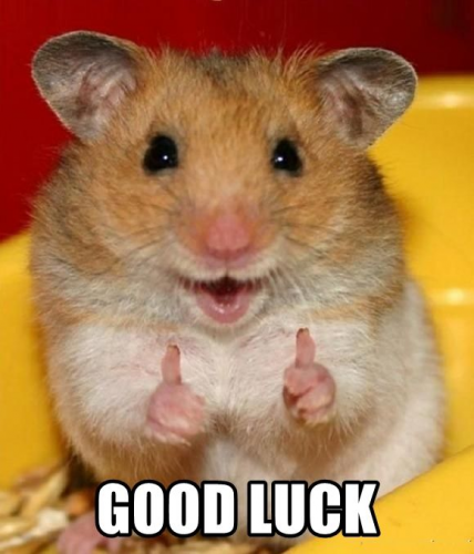 image.thumb.png.c33e0b3c84dc9cae766d3aa39a3bb500.png