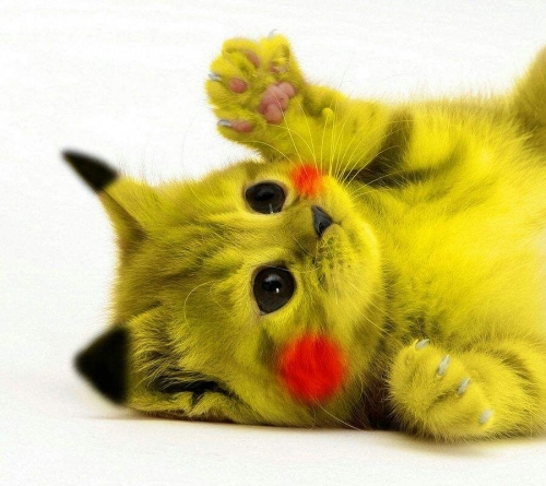 lovee.jpg