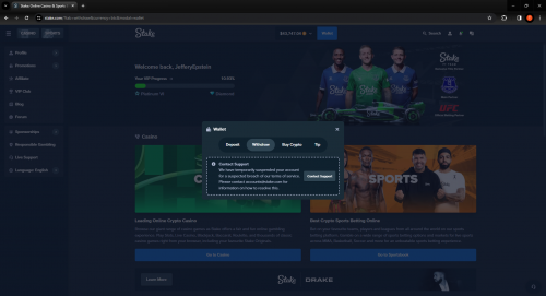 Stake_ Online Casino & Sports Betting - Play & Bet Online - Google Chrome 2_16_2024 4_32_13 PM.png