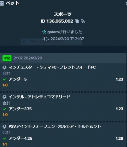 キャプチャ0226-1.JPG