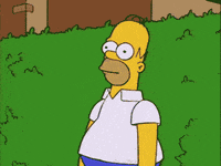 200w.gif.f5771e4877882d31fd320c5ddb17907e.gif
