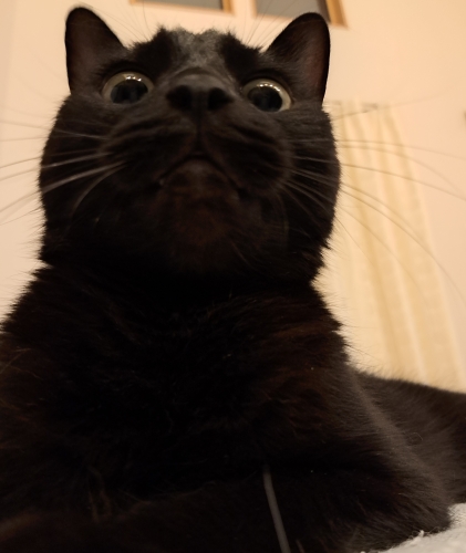 20230817_200005.jpg