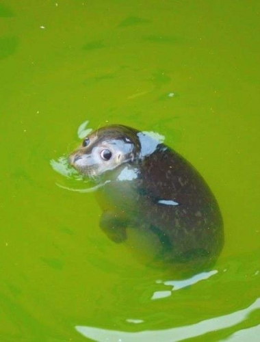20230919_065546.jpeg