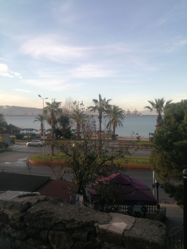 IMG-20240210-WA0003.jpg