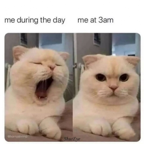 ShutEye-cant-sleep-memes-funny-memes13-1024x1024.jpg