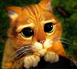 image.png.fb48b23e1449f76ad27ea4ef482f15ef.png
