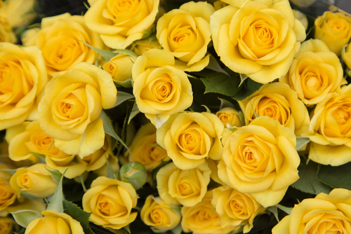 image.thumb.png.c3e8e484175182fc0008d34a0f021dbd.png