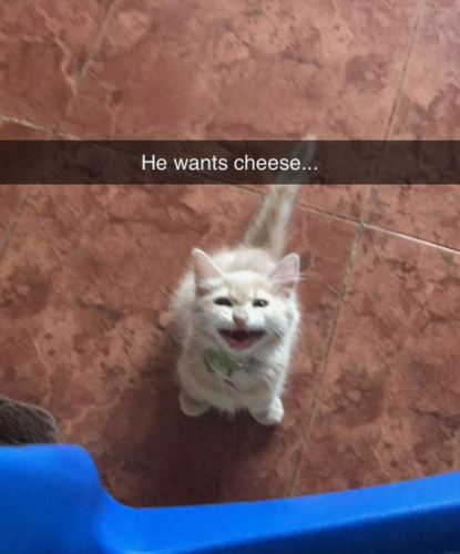 image.thumb.png.d5acbbab982e1d87e766195a91de9fb9.png