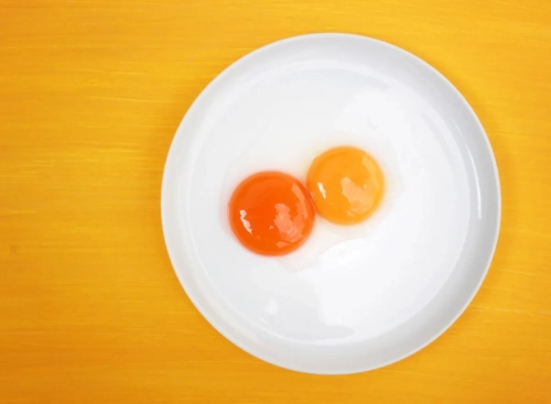 orange-yellow-yolk-eggs.webp