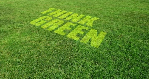 think-green-18546309.webp