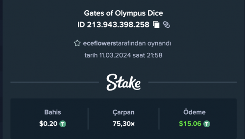 Ekran Resmi 2024-03-11 22.02.42.png