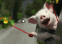 200w.gif.2e25918d25b1e13a96c545331900cc05.gif