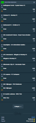 FireShot Capture 003 - My Bets - Stake.com - stake.com.png