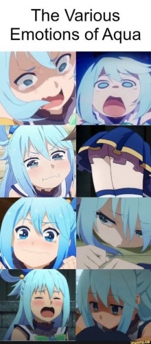images (3).jpeg