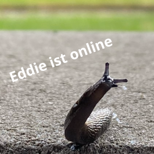 E05C99C4-C01B-4898-BC8E-971EA0B4A2E6.png