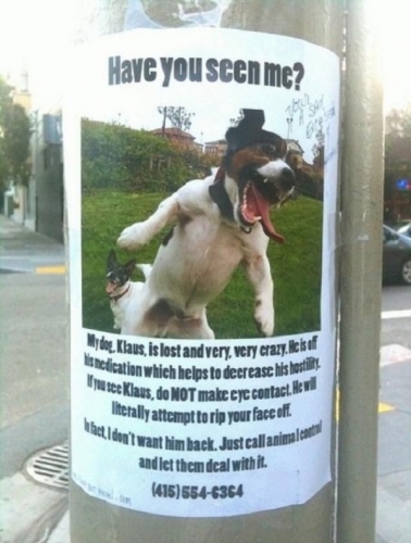 IMG-2a1fa274ba35421fb31b8ca1767ce666-V.thumb.jpg.75fd6e24d1ba8bd56b65bb22d7afa09c.jpg