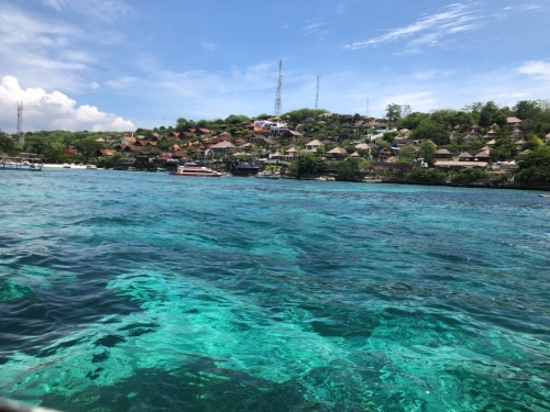 IMG_1568.jpeg