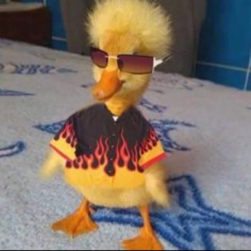 IMG_20240309_013721_381.jpg