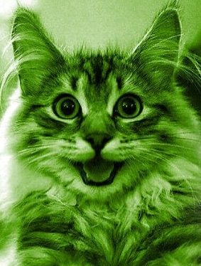 image.png.0f06f8240067d90bfe37bb8d26b0fef7.png
