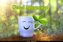 image.png.1bb3a93d570d93ed881445c2f50ab284.png
