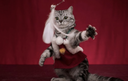 image.thumb.png.a8327cc6ec79a34ce1d262a844e25e17.png