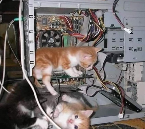 image.thumb.png.b435b46a2838aa6e5916eaa44a6caf9a.png