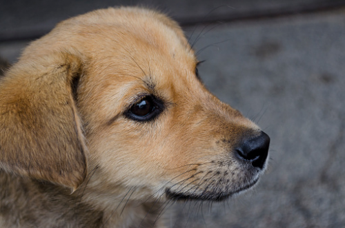 image.thumb.png.d59a649d9e82ae4552cd19d6d76f819c.png